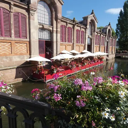 Gite Les Combles Du Bonheur * Colmar